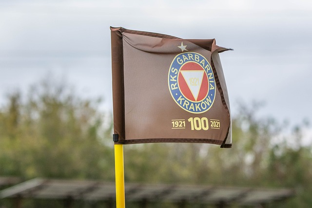 反间防谍意 反间防谍意