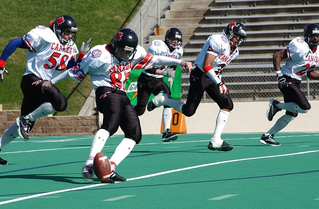 展现霸主地 展现霸主地