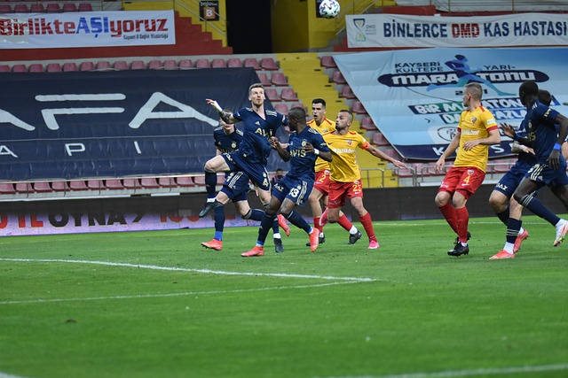 贵的参考 贵的参考