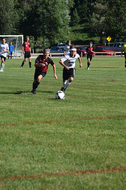 新援的加入 新援的加入