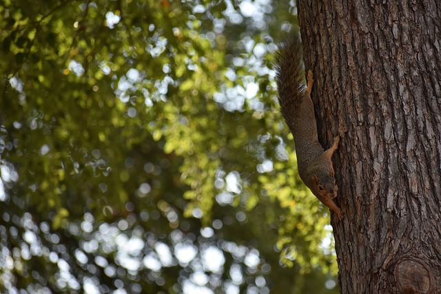心的瞬间 心的瞬间