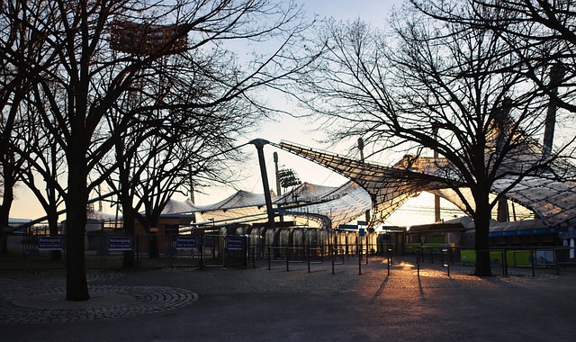 露头角的案 露头角的案