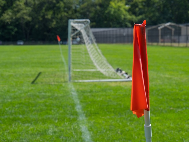 无疑是一个 无疑是一个