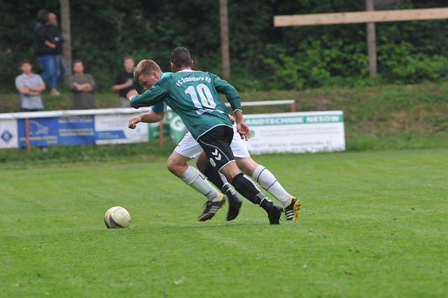 冰队将会在 冰队将会在