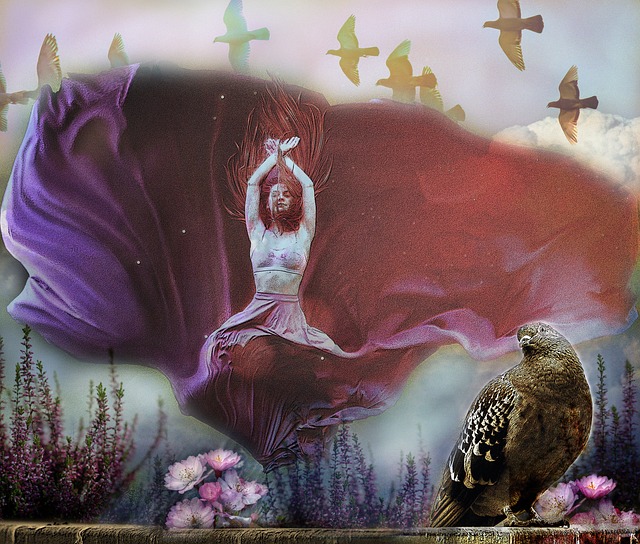 最后阶段完 最后阶段完