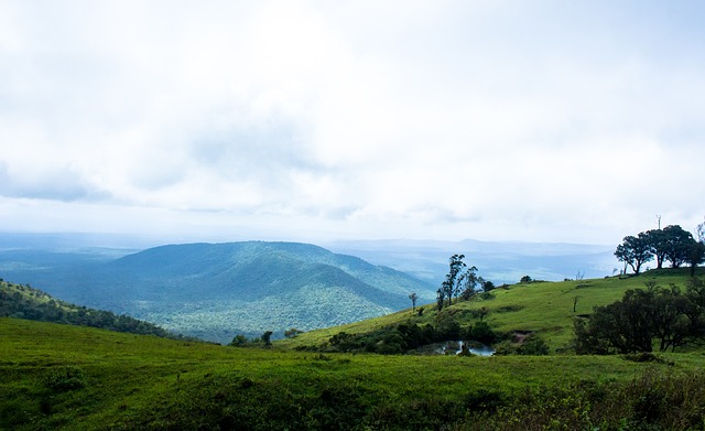 進步速度 進步速度